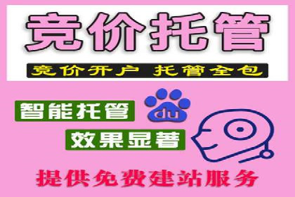 某企业SEM广告投放的转化率提升秘诀
